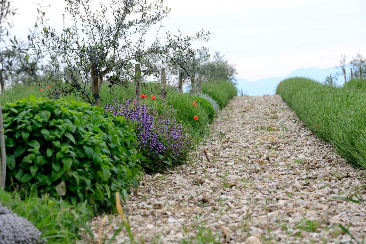 Agriturismo2Laghi Понти Сул Минчо Екстериор снимка
