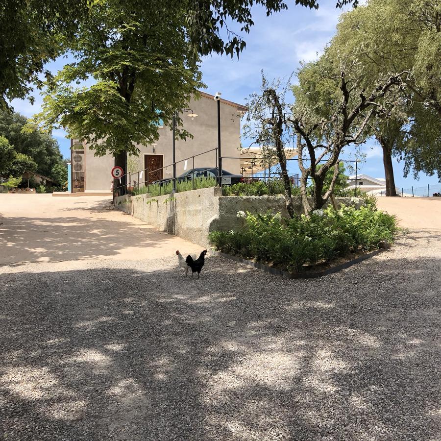 Agriturismo2Laghi Понти Сул Минчо Екстериор снимка